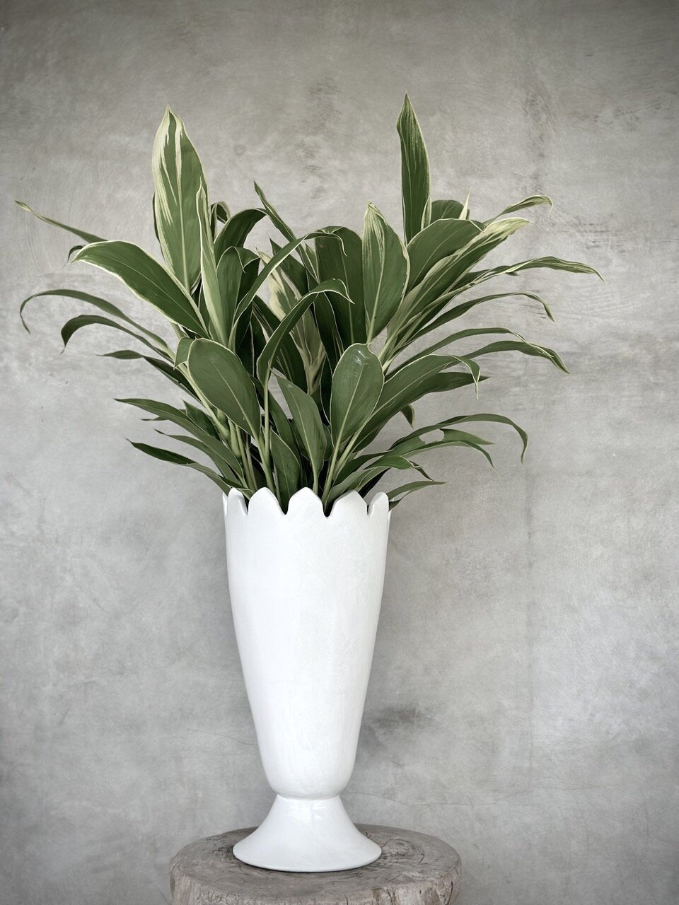 PIALA - L - vase large, white